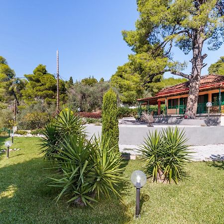 Skopelos Country House Diamantis & Chrisi Agnontas Exteriér fotografie