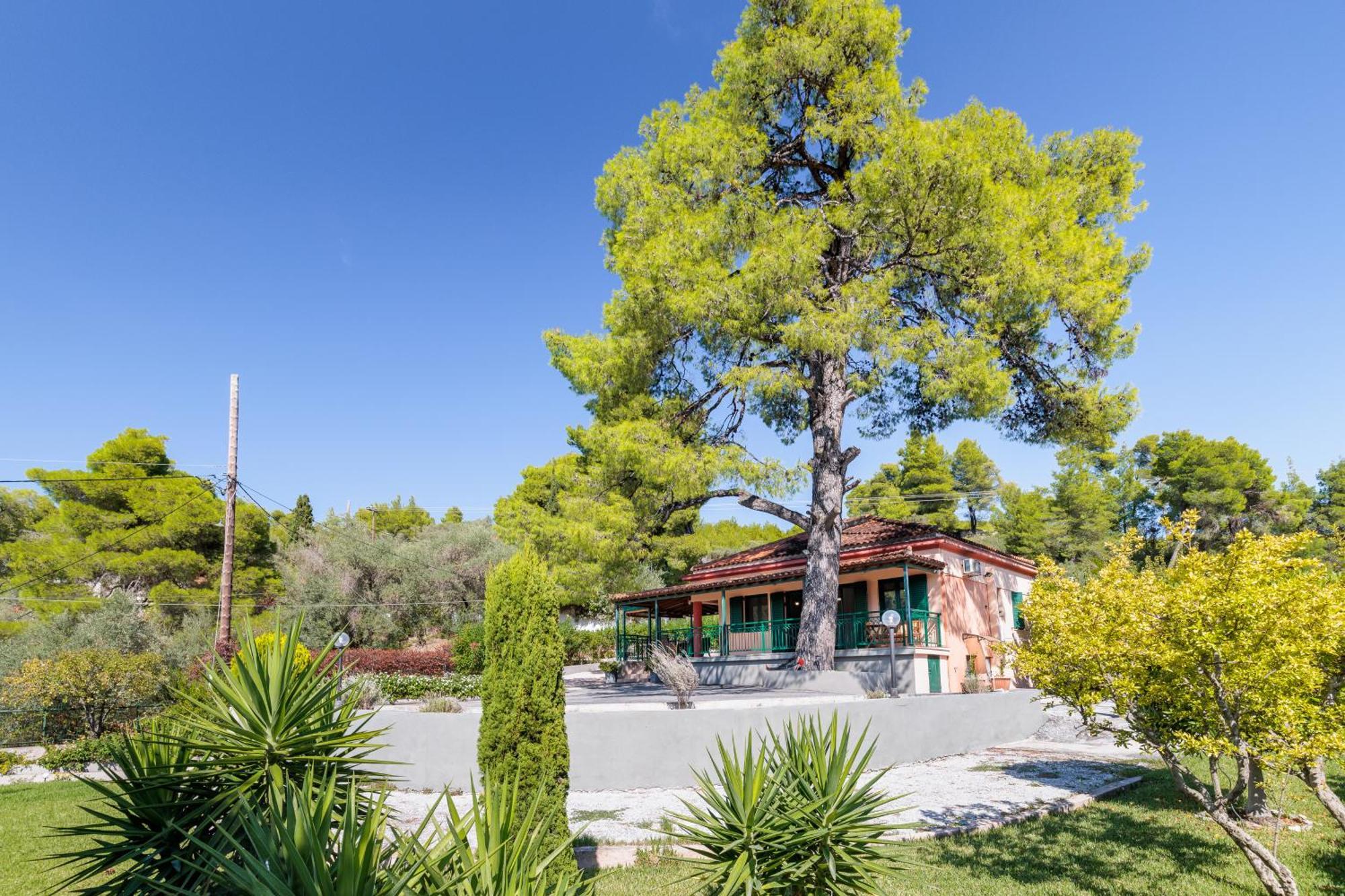 Skopelos Country House Diamantis & Chrisi Agnontas Exteriér fotografie